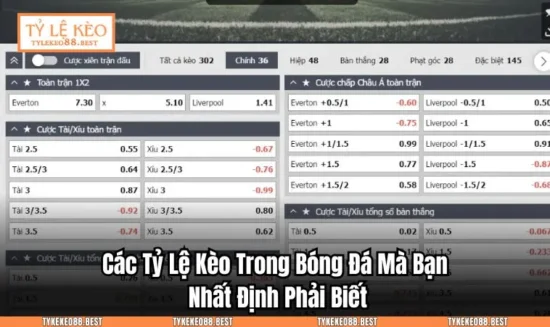 Các Tỷ Lệ Kèo Trong Bóng Đá Mà Bạn Nhất Định Phải BiếtCác Tỷ Lệ Kèo Trong Bóng Đá Mà Bạn Nhất Định Phải Biết