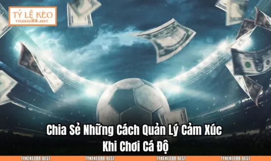 Chia Sẻ Những Cách Quản Lý Cảm Xúc Khi Chơi Cá Độ