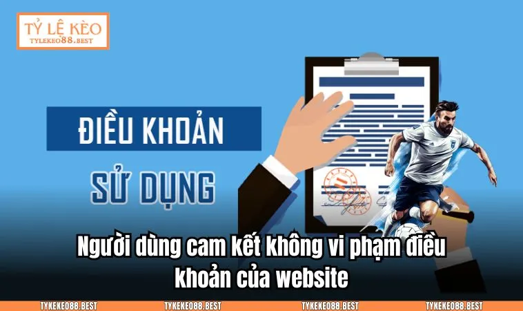 Người dùng cam kết không vi phạm điều khoản của website