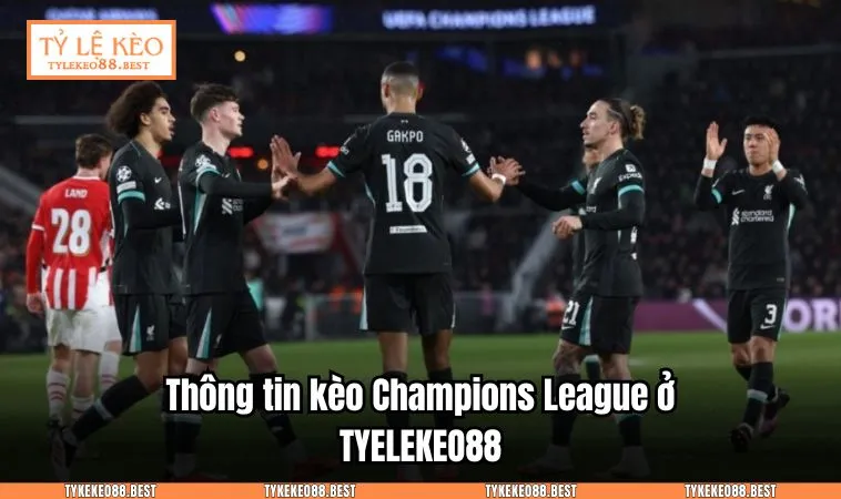 Thông tin kèo Champions League ở TYELEKEO88.BEST