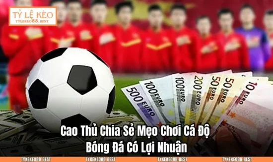 Cao Thủ Chia Sẻ Mẹo Chơi Cá Độ Bóng Đá Có Lợi Nhuận